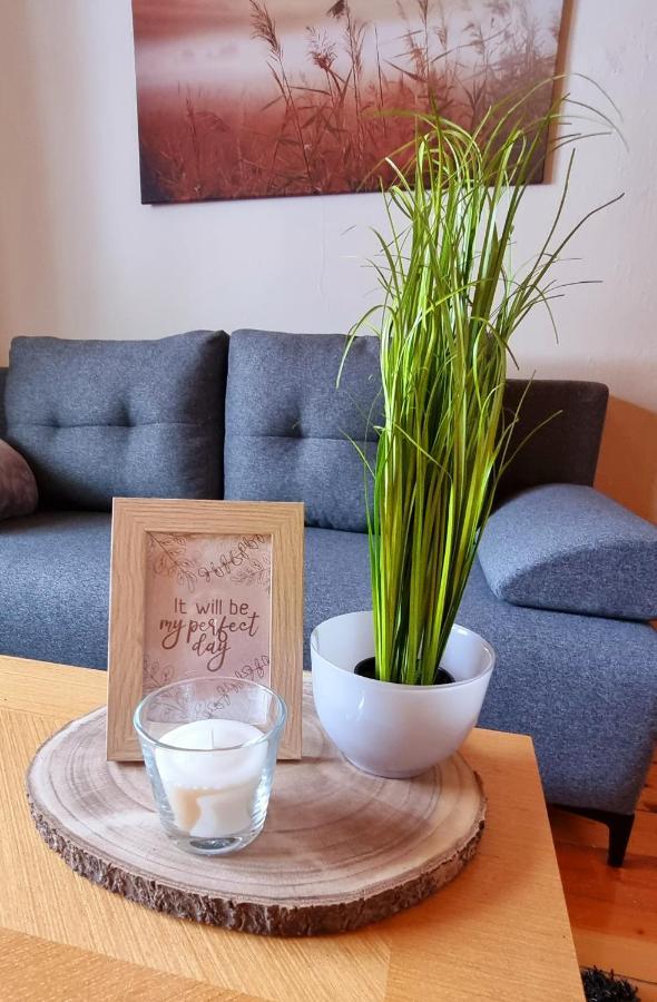 Apartma Metka Bovec Esterno foto