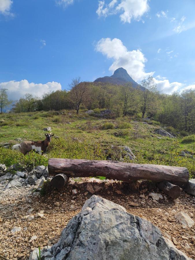 Apartma Metka Bovec Esterno foto